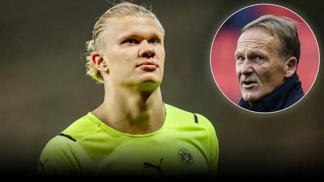 综合体育用户阅读指南 快速获取所需内容